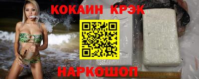 стаф Гай