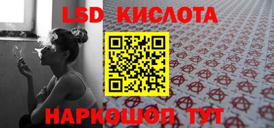 стаф Гай