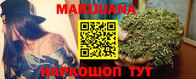 стаф Гай