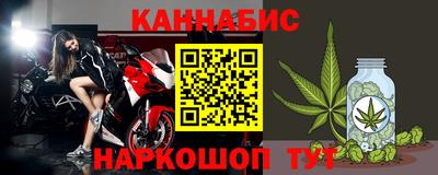 стаф Гай
