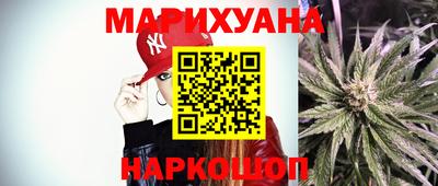 стаф Гай