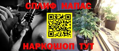 mdpv Гатчина