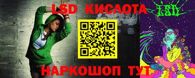стаф Гай