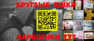 стаф Гай